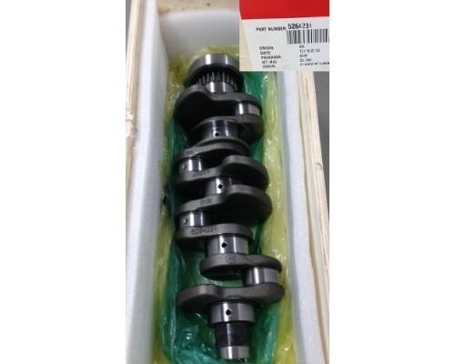 Engine Crankshaft